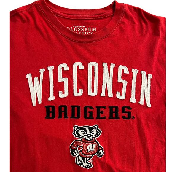 Colosseum Athletics Wisconsin Badgers Stitched Lettering Red Long Sleeve Shirt L - Picture 1 of 9